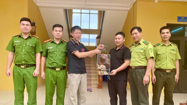 Bàn giao cá thể Culi