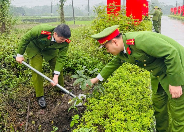 CBCS tham gia trồng cây