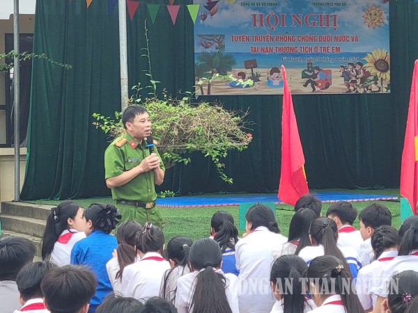 21 4 VO TRANH