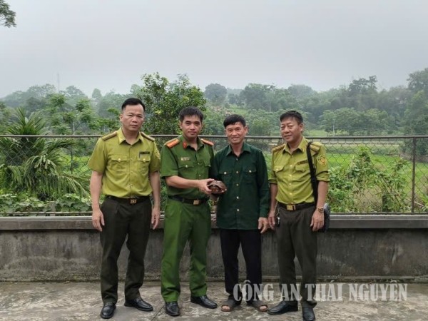 Công an xã Đại Phúc bàn giao cá thể rùa sa nhân để thả về tự nhiên.