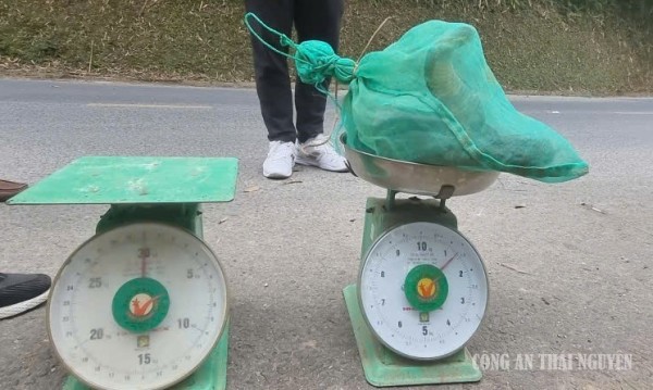 ảnh 1 pc03
