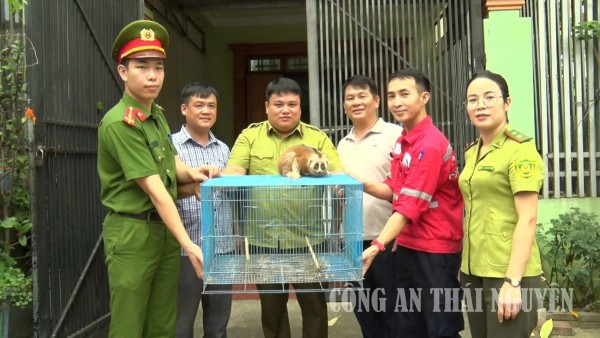 Ảnh Culi Đại Phúc