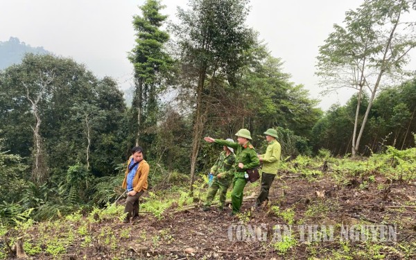Cao Minh bảo vệ rừng