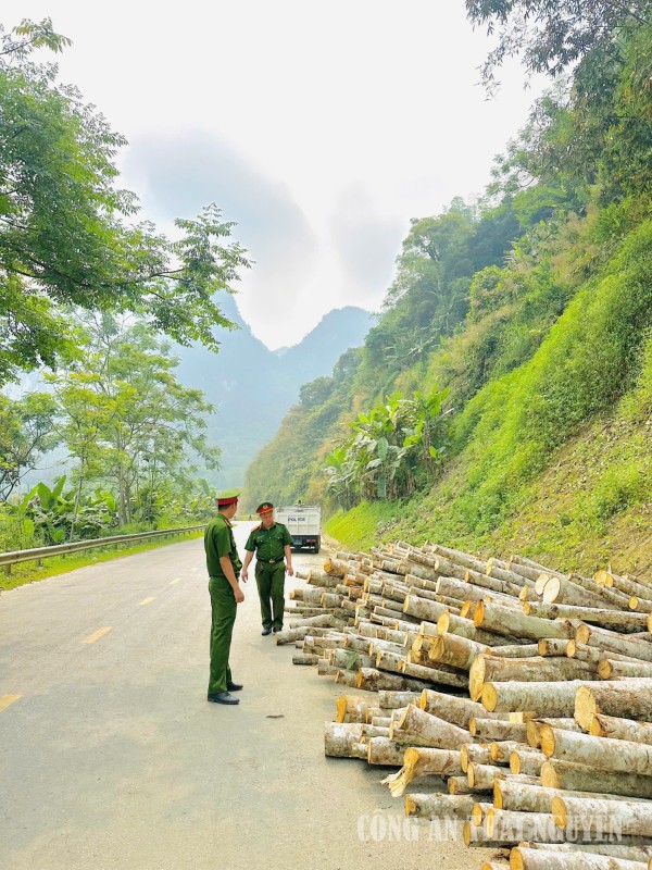 Tuần tra, kiểm soát