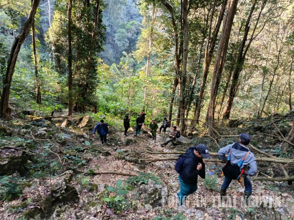 Vĩnh Thông tuần tra rừng