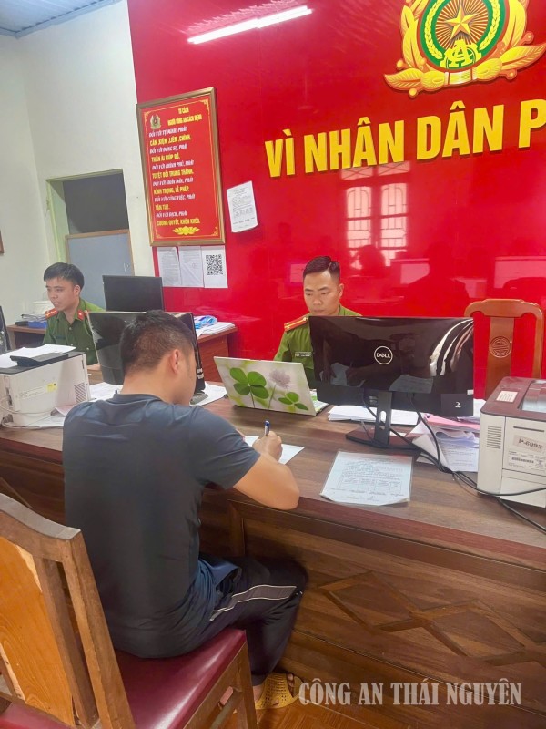 Vô Tranh