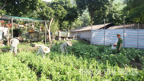 Thái Nguyên: Sẵn sàng đặc xá cho phạm nhân