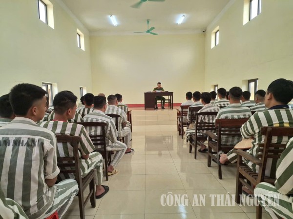 PC11 số 1