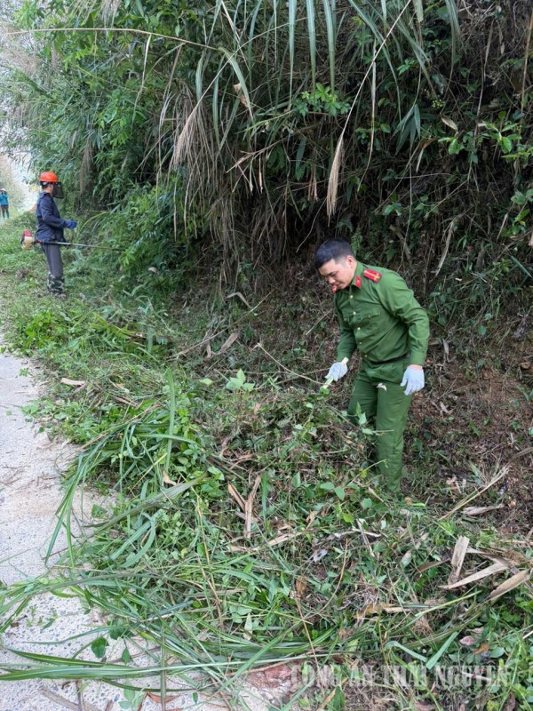 trần phú 3 nhất