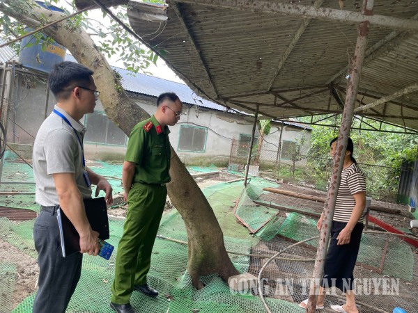Tổ Công tác kiểm tra tại các hộ chăn nuôi