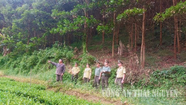 Tăng cường công tác bảo vệ rừng, giữ vững an ninh môi trường
