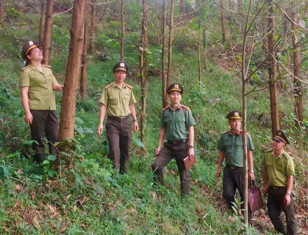 Chung tay giữ “màu xanh” quê hương
