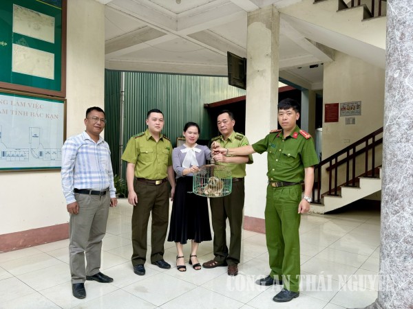 Công an phường Đức Xuân bàn giao Cu li nhỏ cho Hạt kiểm lâm số 9 tỉnh Thái Nguyên