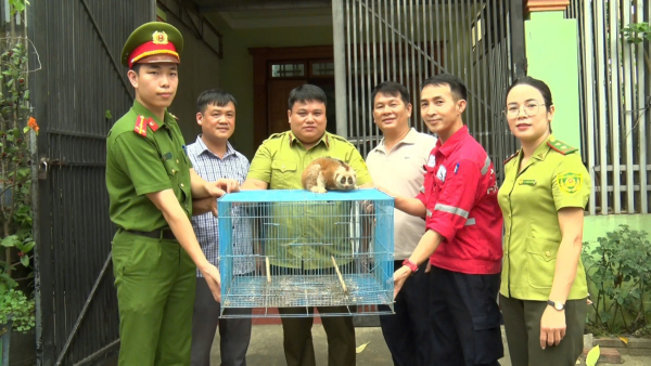 Tăng cường phòng ngừa, đấu tranh, bảo vệ các loài động vật hoang dã
