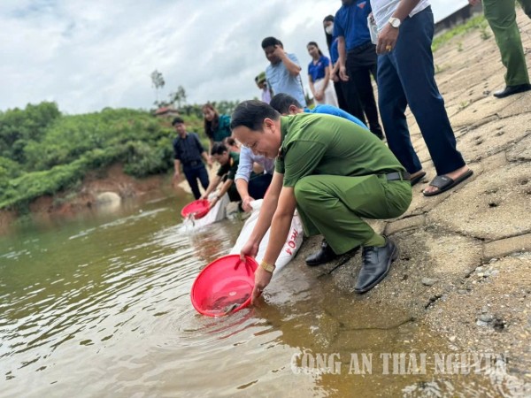 Phú đình 2
