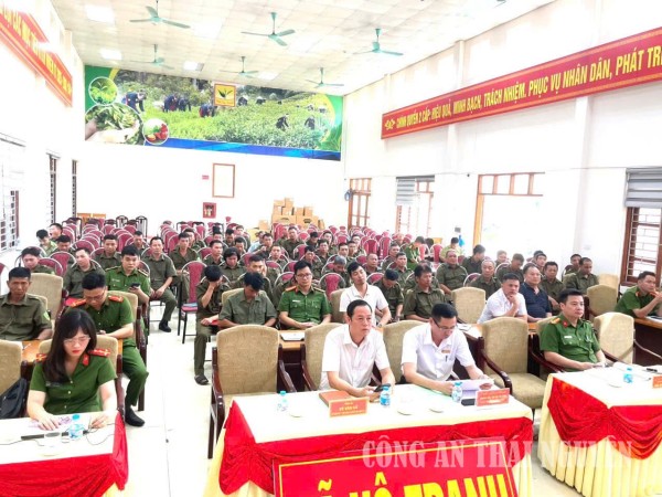 vô tranh ra mắt mô hình