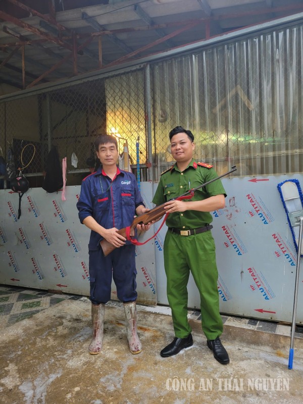 Vô Tranh