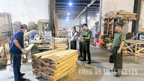 Tăng cường tuyên truyền pháp luật về quản lý lâm sản