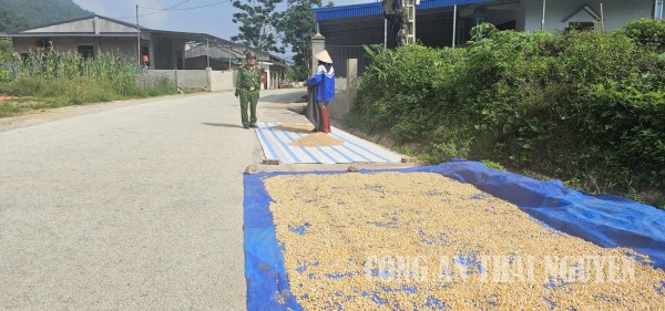 Đồng Phúc nhắc nhở người dân phơi thóc