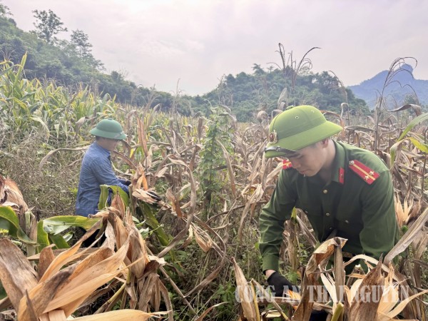 IMG 9621 Cường Lợi giúp dân