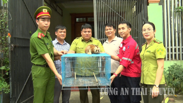 Tăng cường phòng ngừa, kiểm tra, xử lý hành vi mua bán hàng cấm, vũ khí và công cụ bị cấm để khai thác thủy sản
