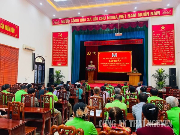 Ảnh 1 phú bình tập huấn