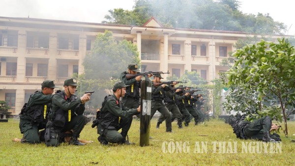 Rèn luyện bản lĩnh trên thao trường