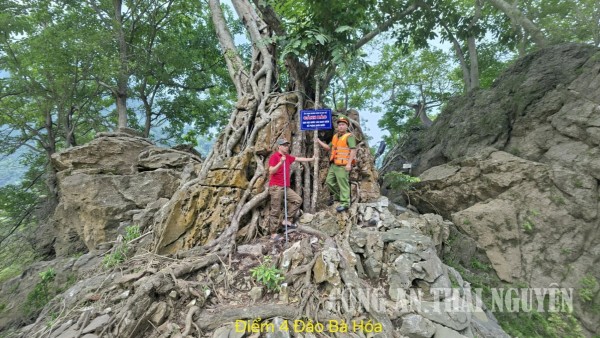 Ba bể cắm biển an toàn