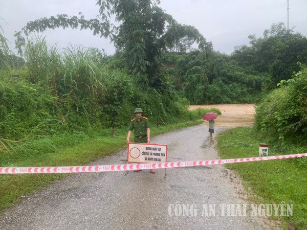 Sảng Mộc