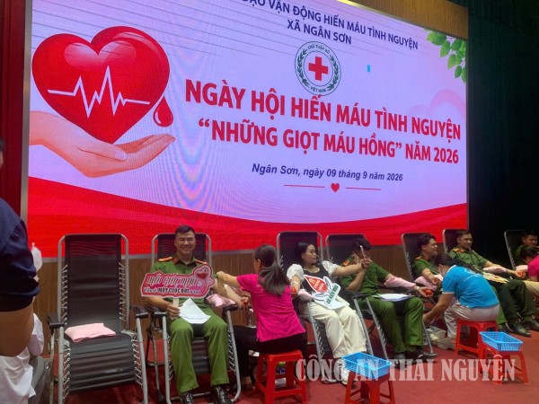 Những giọt máu hồng - Trao gửi yêu thương