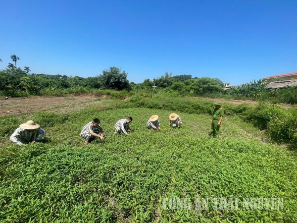 Hành trình hoàn lương - Những mảnh đời, những thay đổi thay