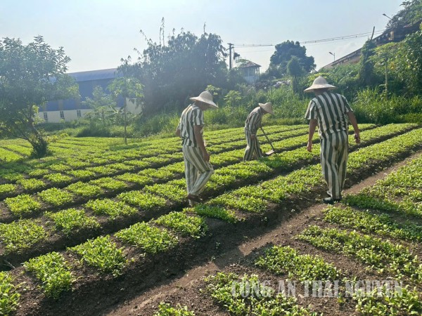 Lao động - động lực cho ngày trở về