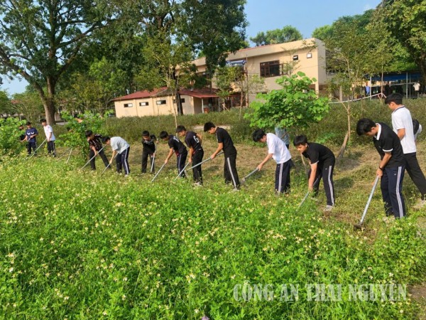 Sôi nổi thực hiện phong trào “Chủ nhật xanh”