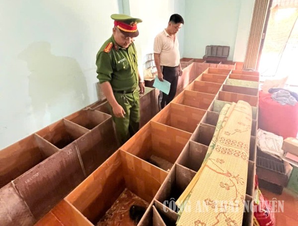 Kiểm tra, quản lý hoạt động nuôi nhốt động vật hoang dã trên địa bàn xã Cường Lợi