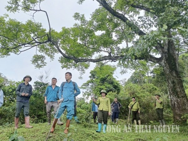 Công an xã Na Rì phối hợp tuần tra, kiểm soát bảo vệ rừng