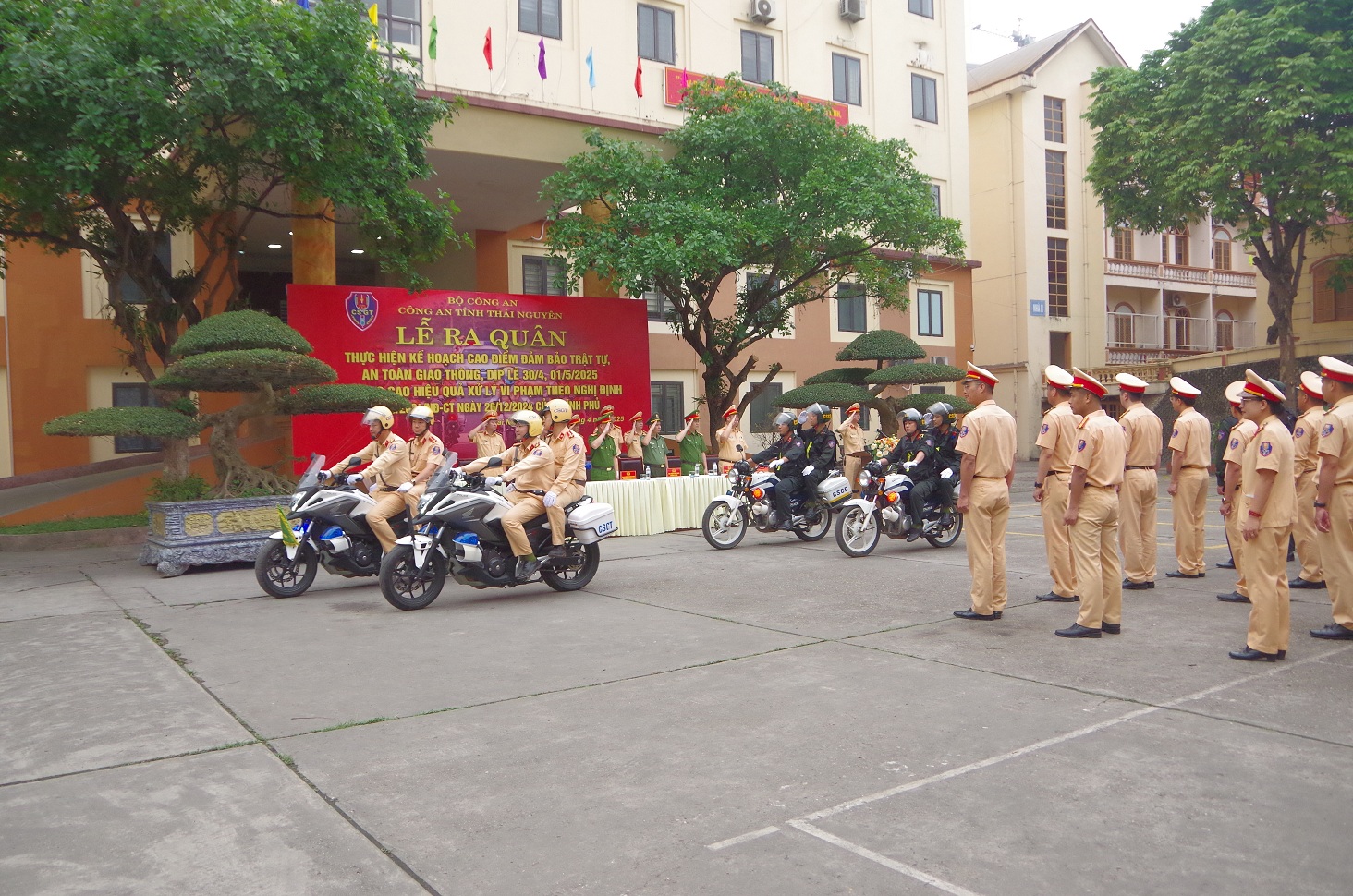 catn25 161