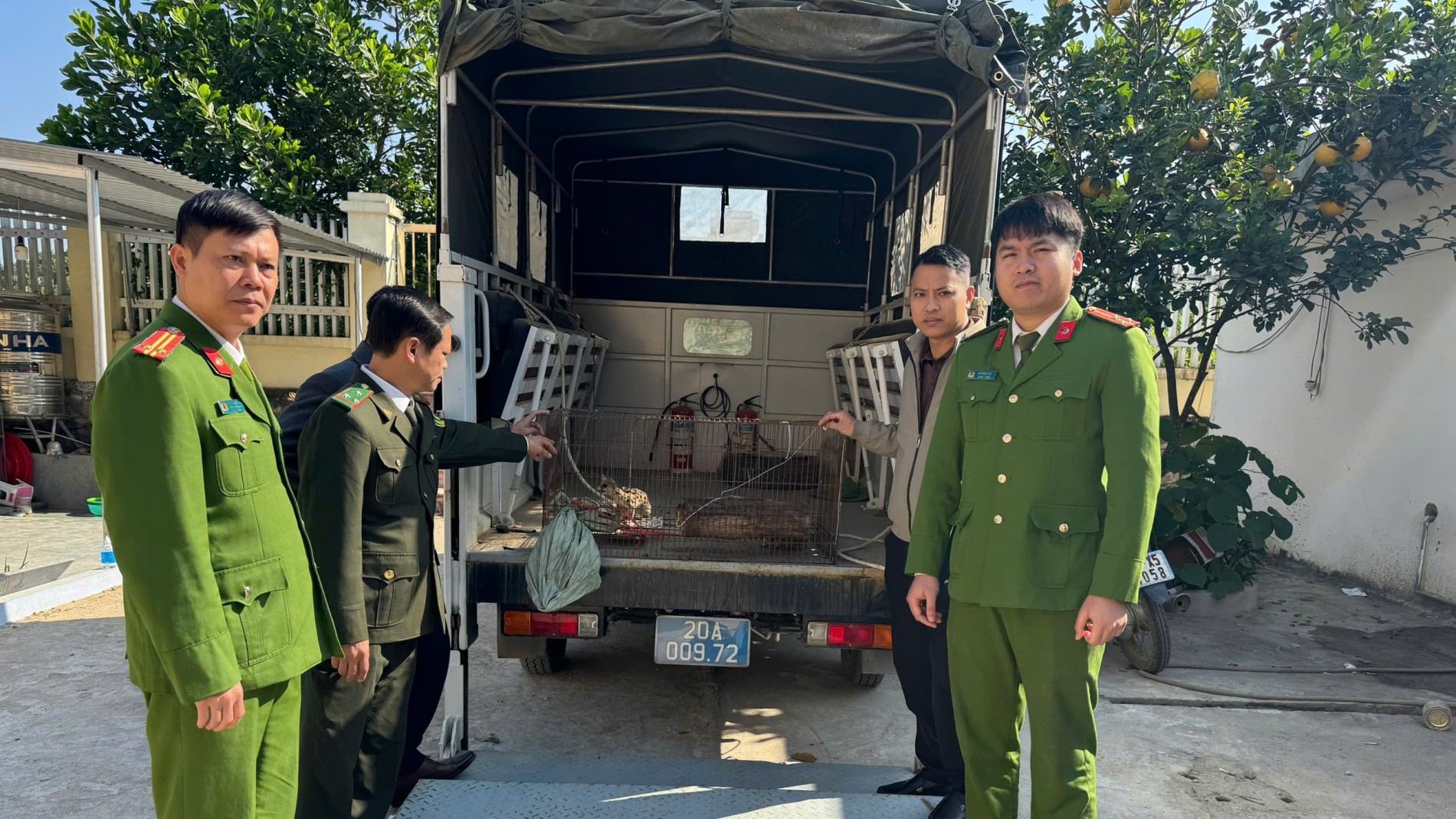 1 Người dân chủ động giao nộp cá thể cầy gấm đi lạc