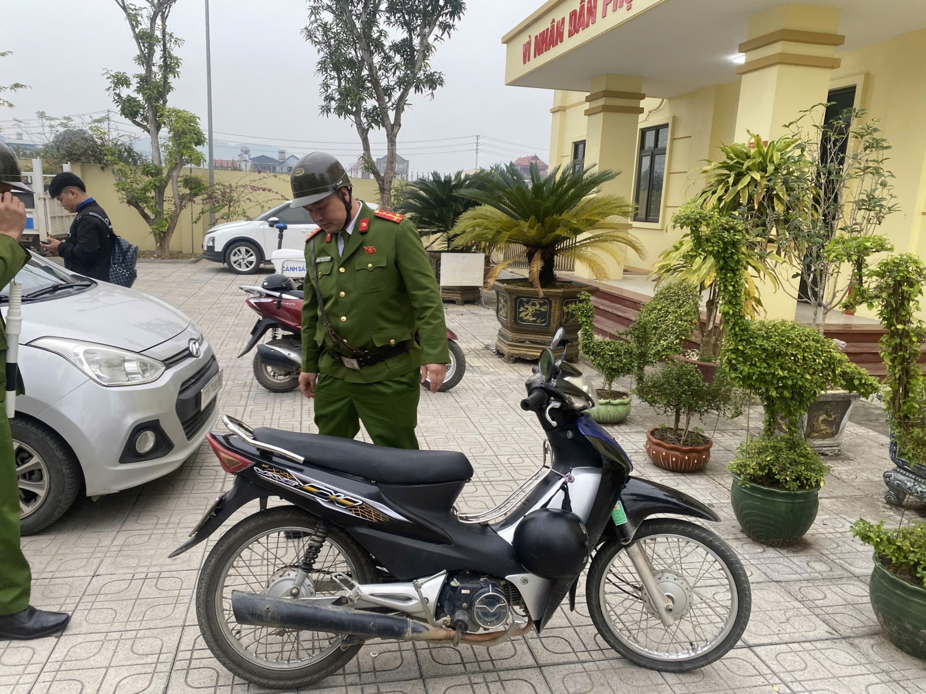 hình ảnh 2