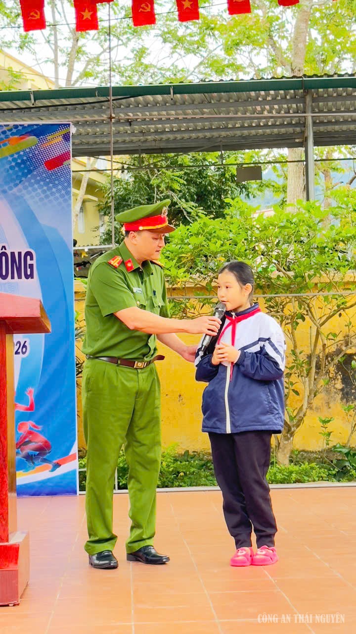 Ảnh 3 bạch thông