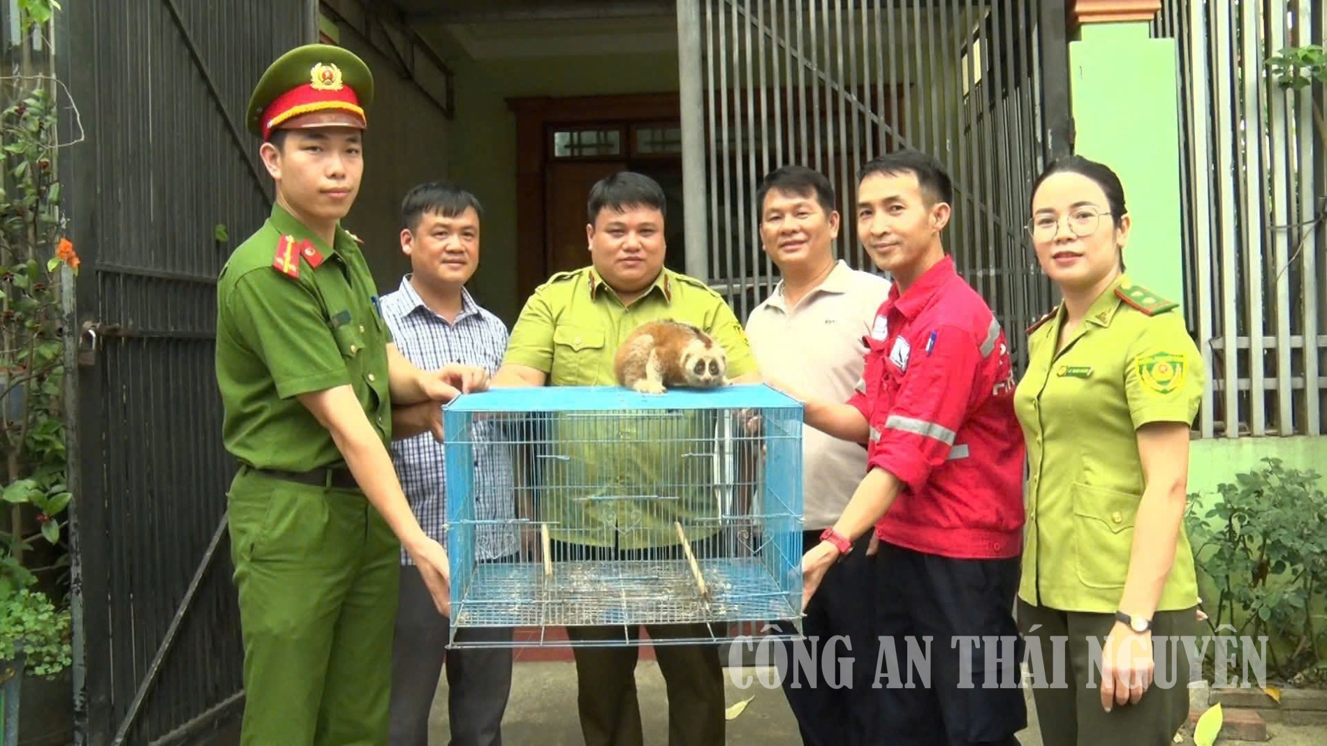 Ảnh Culi Đại Phúc