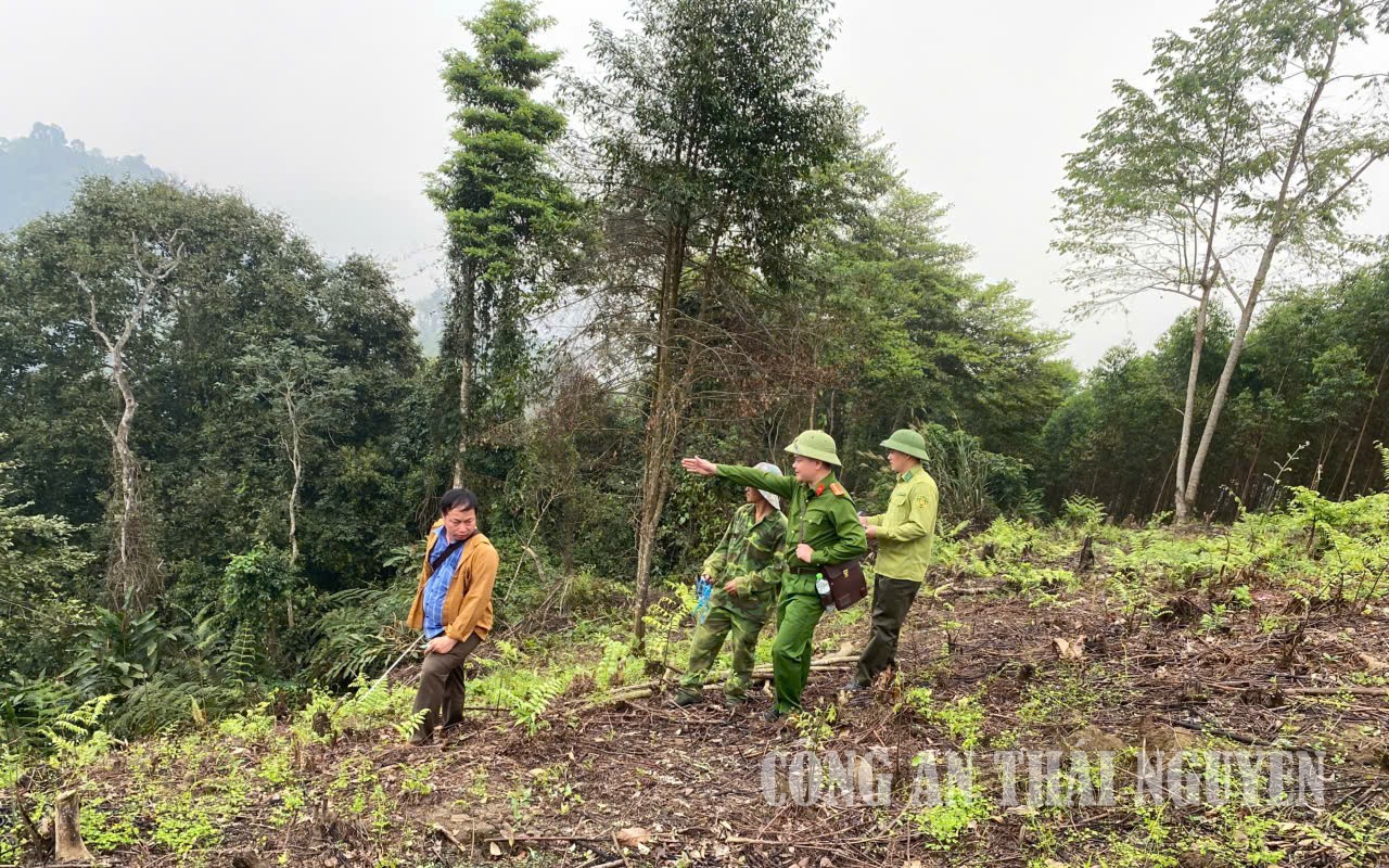 Cao Minh bảo vệ rừng
