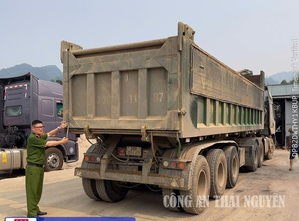 Yên Trạc tổng rà soát xe
