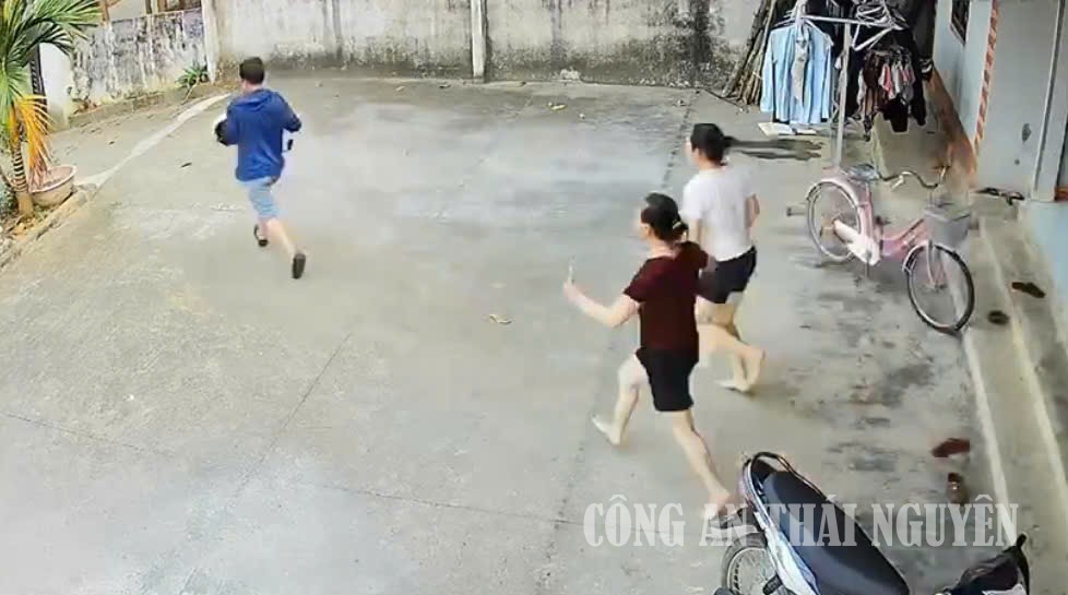 Yên Trạch 11