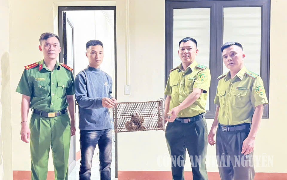 Công an xã phối hợp với Hạt Kiểm lâm số 11 bàn giao động vật hoang dã quý hiếm