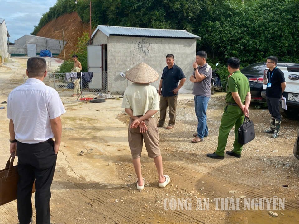 Kiểm tra việc chấp hành pháp luật về môi trường tại cơ sở chăn nuôi lợn