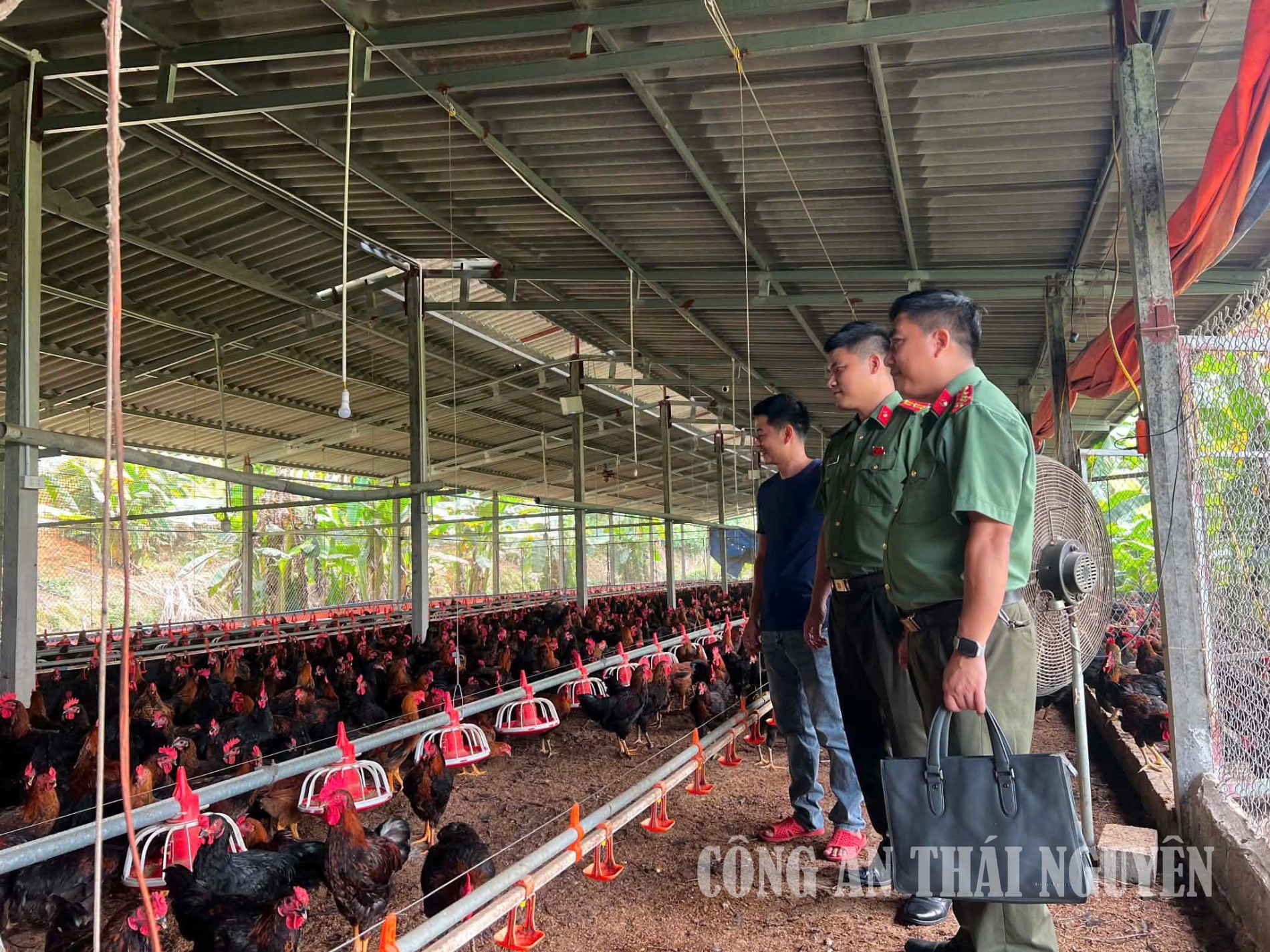 Đấu tranh, xử lý các hành vi lợi dụng dịch bệnh để vi phạm pháp luật