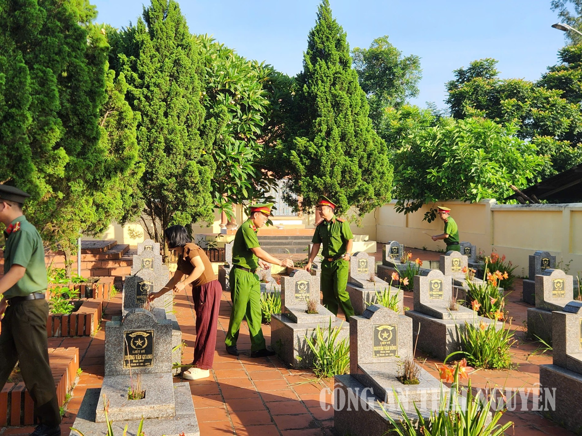 Ảnh 4 Tân thành