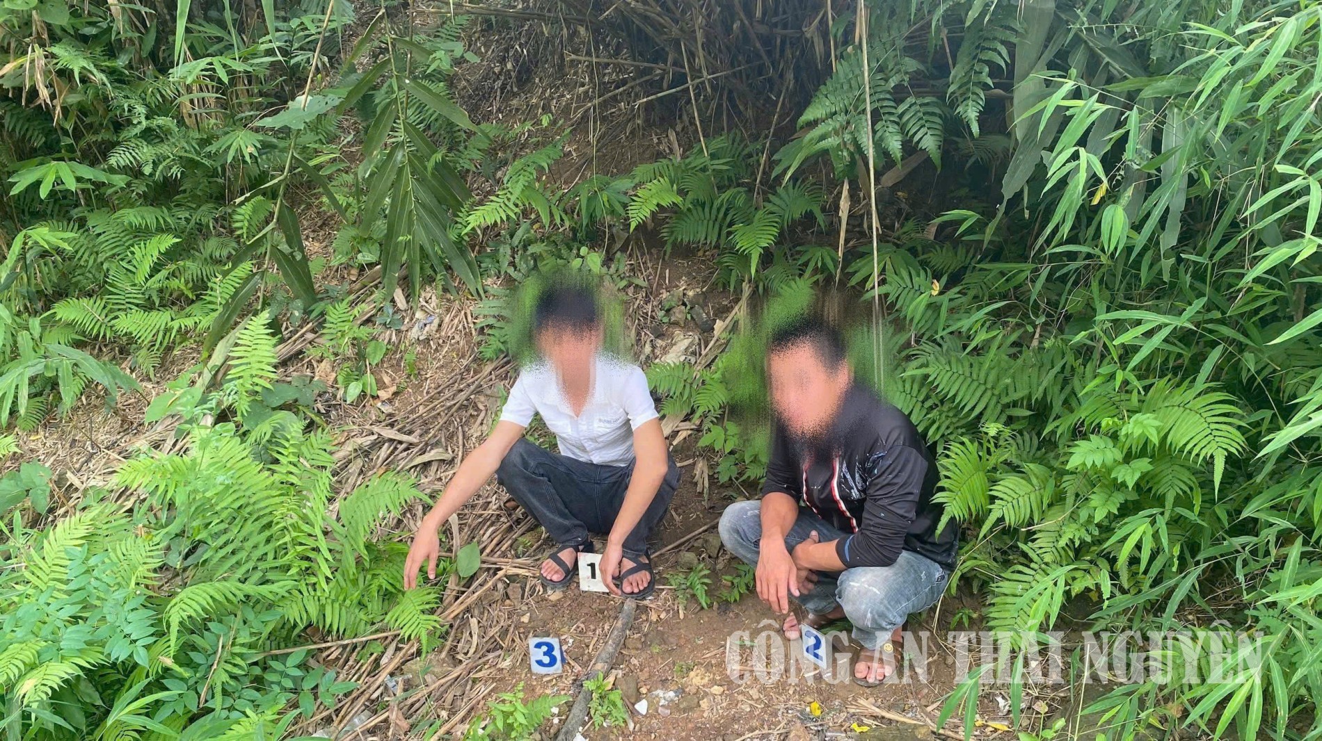 CHO DON VU MA TUY 2