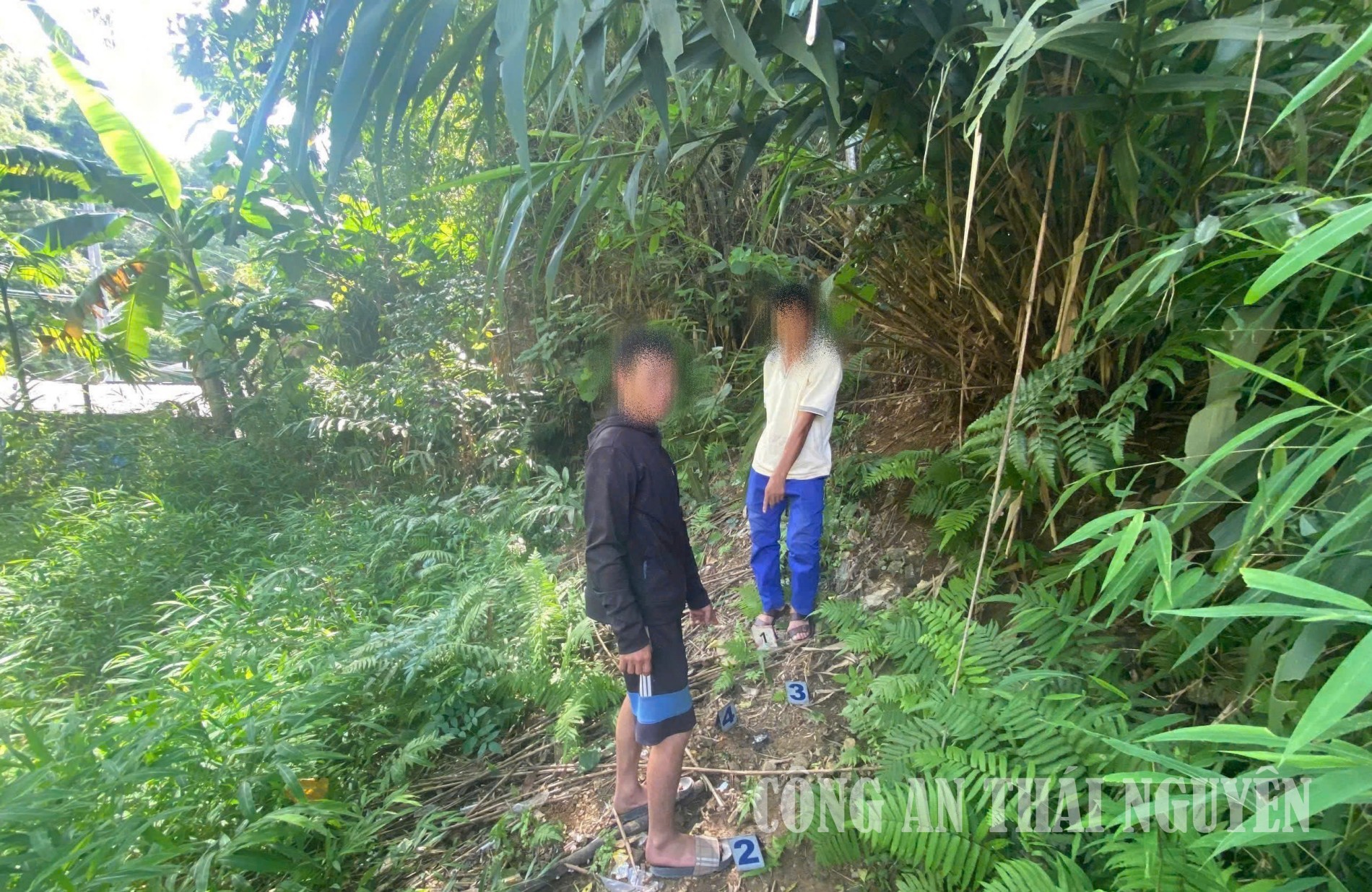 Các đối tượng tại hiện trường.