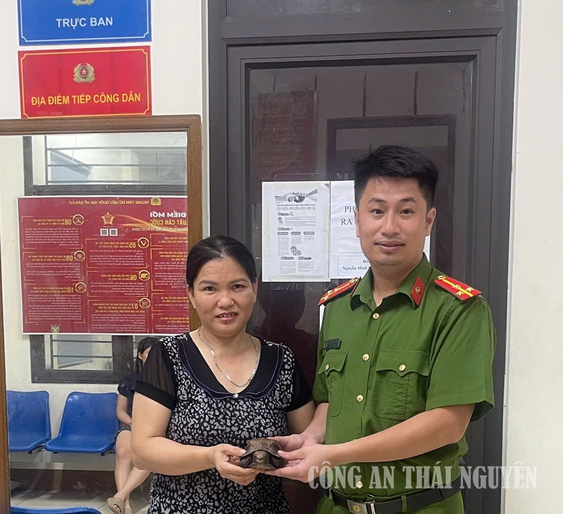 Tân Cương